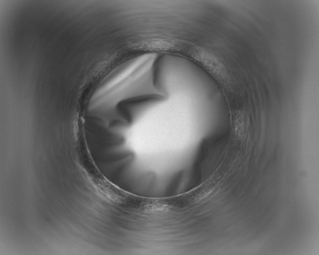 X0000073470206200608111545