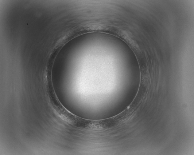 X0000073470207200608111545