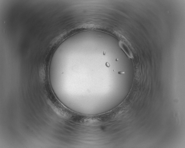 X0000073470208200608111545