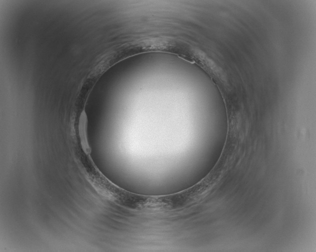 X0000073470209200608111544