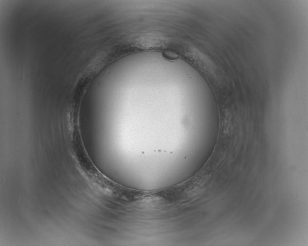 X0000073470210200608111544