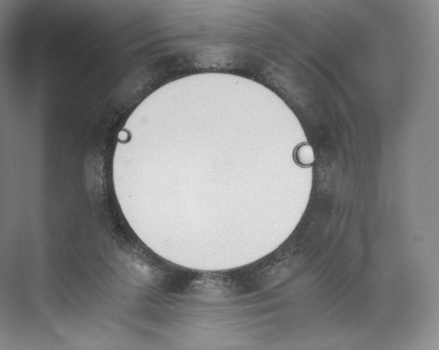 X0000073470211200608111544