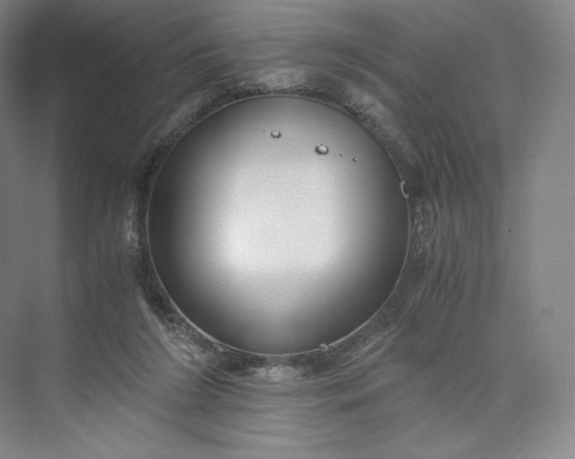 X0000073470212200608111544