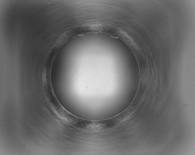 X0000073470213200608111544