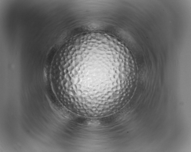 X0000073470214200608111544