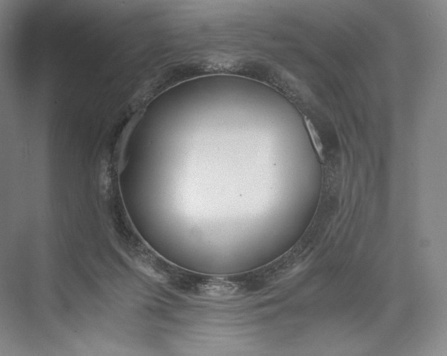 X0000073470215200608111544