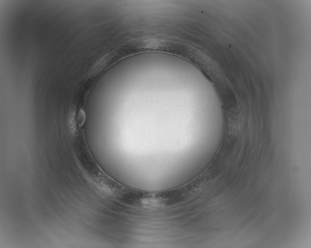 X0000073470216200608111544