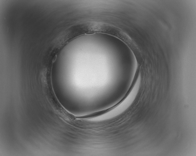 X0000073470217200608111544