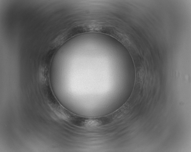 X0000073470218200608111544