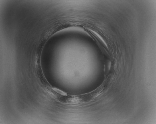 X0000073470219200608111544