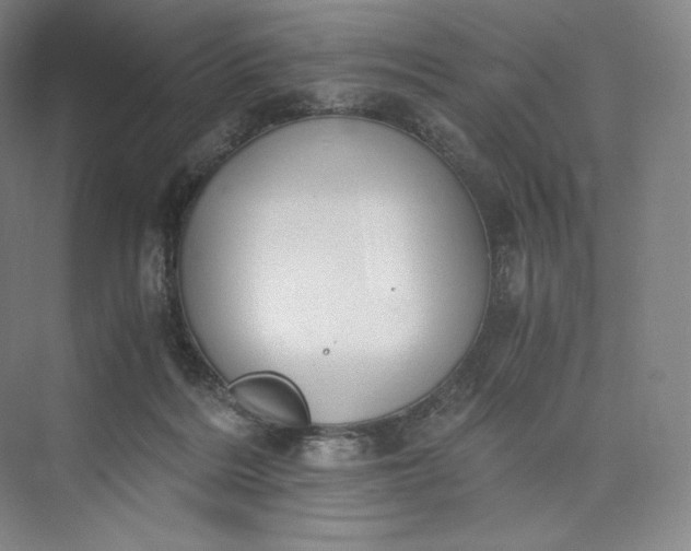 X0000073470220200608111544