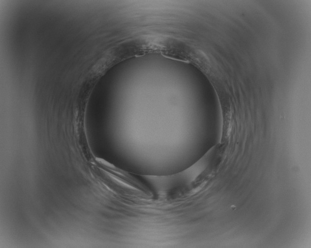 X0000073470223200608111544