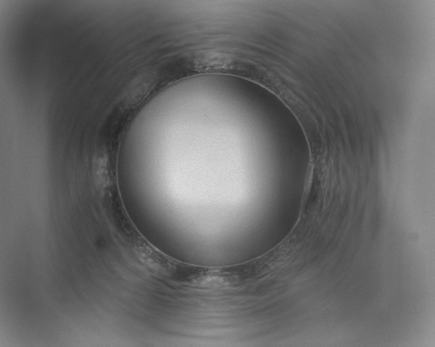 X0000073470224200608111544