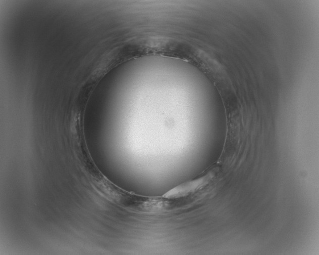 X0000073470225200608111544