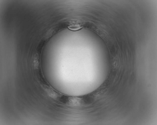 X0000073470226200608111544