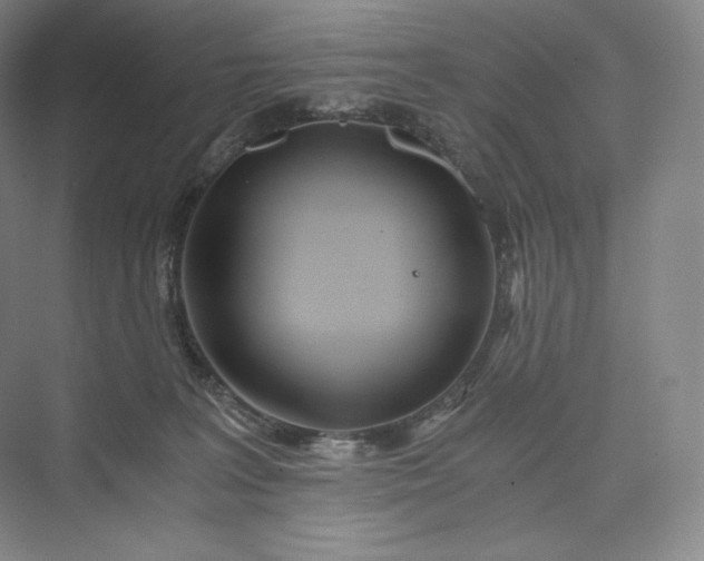 X0000073470227200608111544