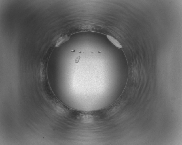 X0000073470228200608111544