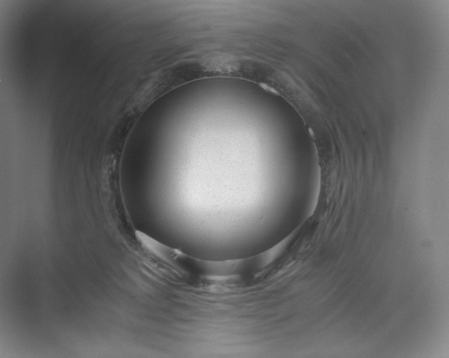 X0000073470229200608111544