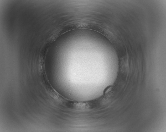 X0000073470230200608111544