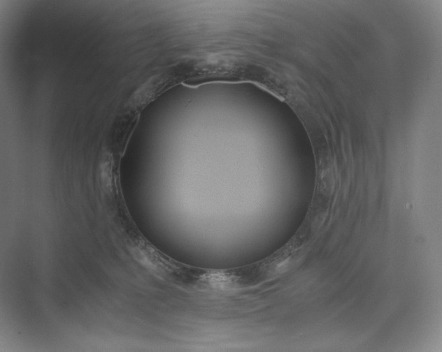 X0000073470231200608111544