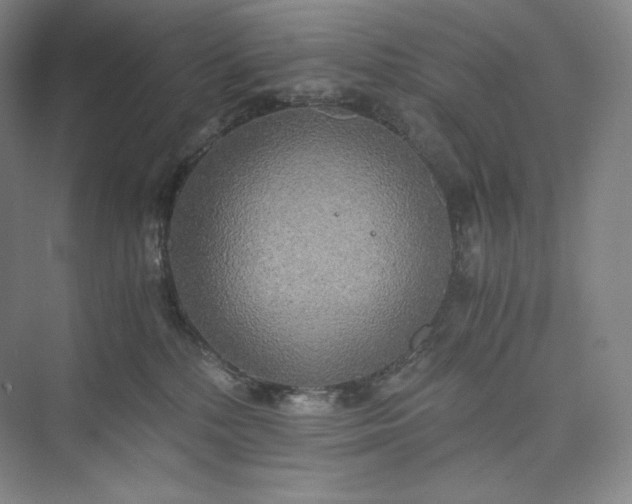 X0000073470232200608111544