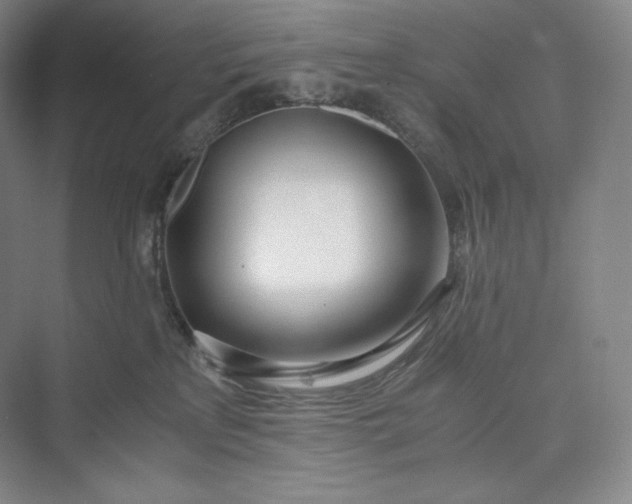 X0000073470233200608111544