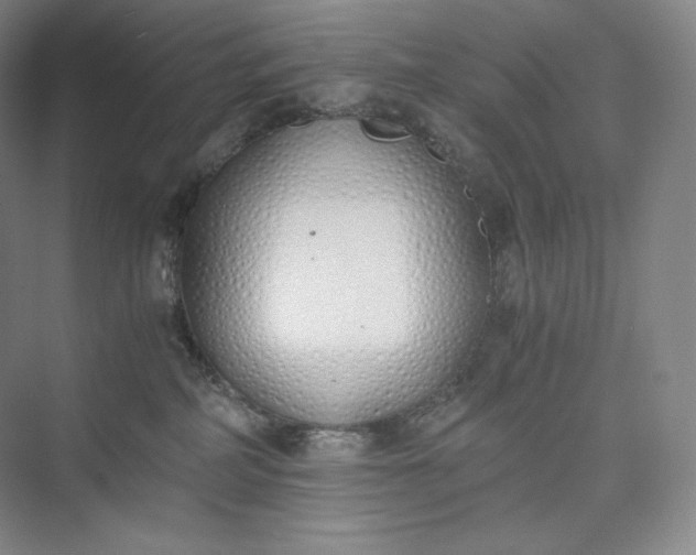 X0000073470234200608111544