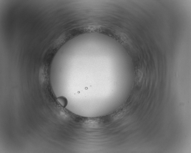 X0000073470236200608111544