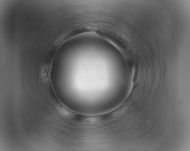 X0000073470237200608111544