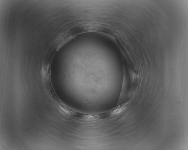 X0000073470239200608111544