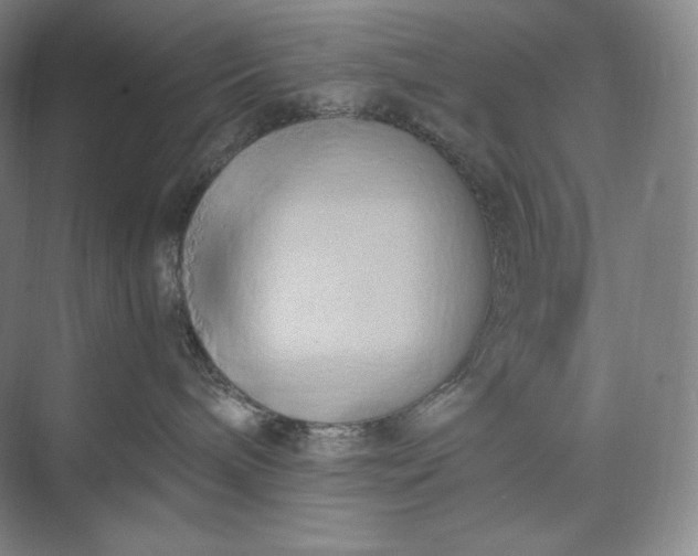 X0000073470240200608111544