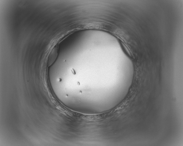 X0000073470241200608111543