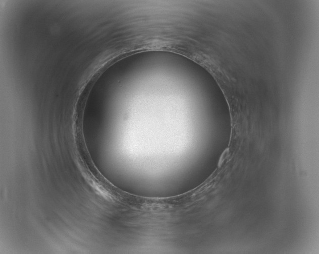 X0000073470242200608111543