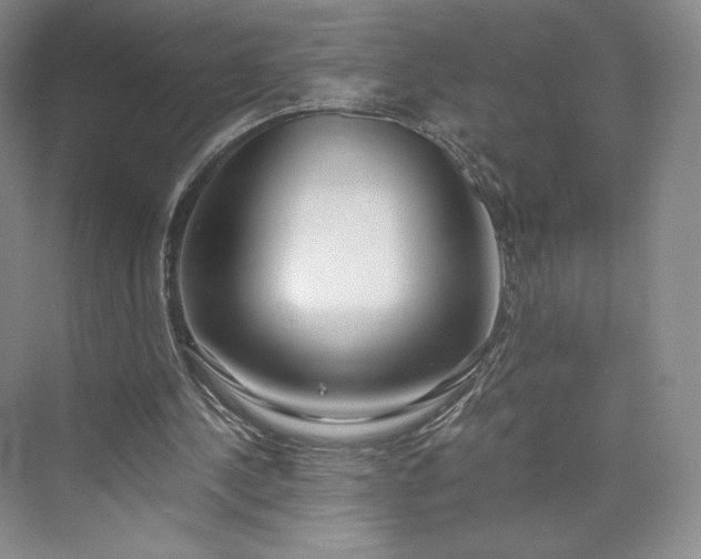 X0000073470244200608111543