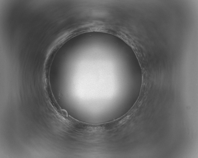 X0000073470245200608111543