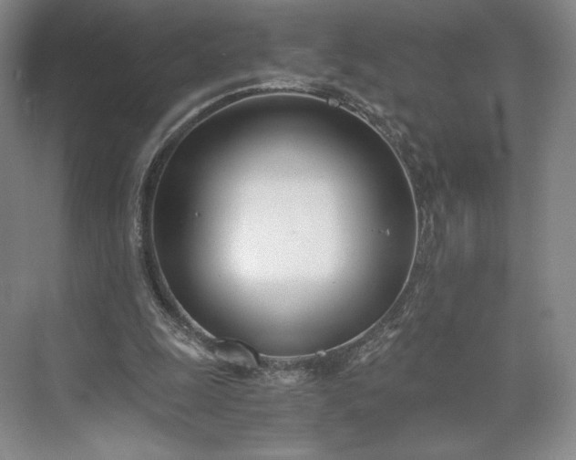 X0000073470247200608111543