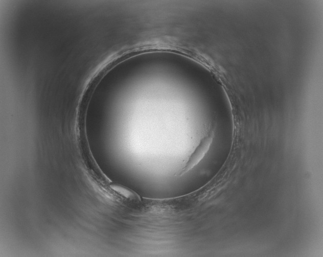 X0000073470248200608111543