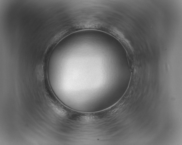 X0000073470250200608111543