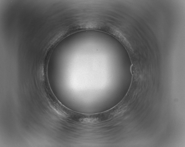 X0000073470251200608111543