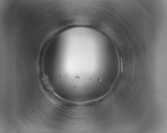 X0000073470252200608111543