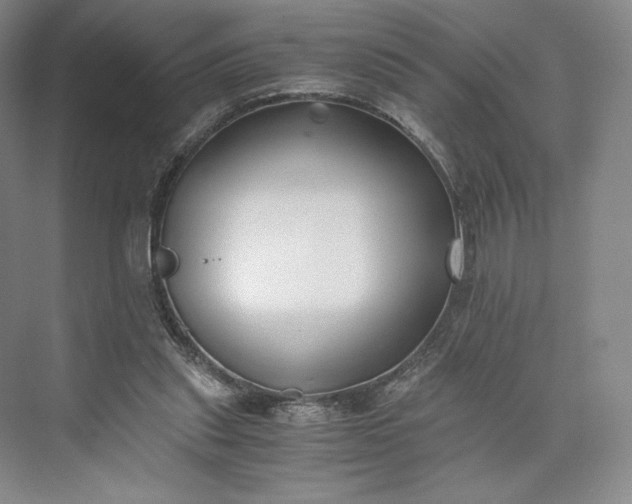 X0000073470253200608111543