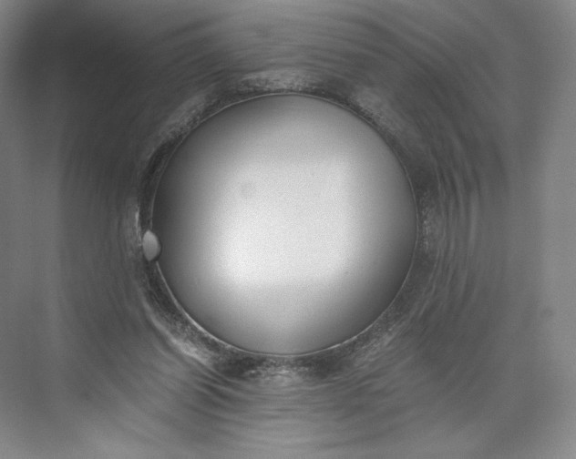 X0000073470254200608111543