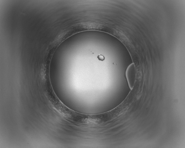 X0000073470255200608111543