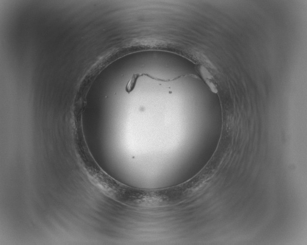 X0000073470256200608111543