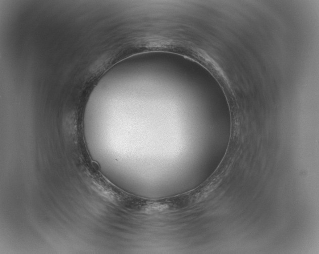 X0000073470257200608111543