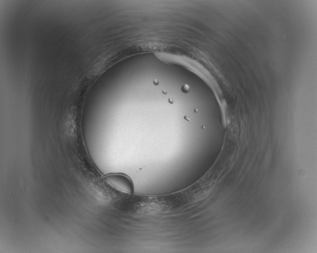 X0000073470259200608111543