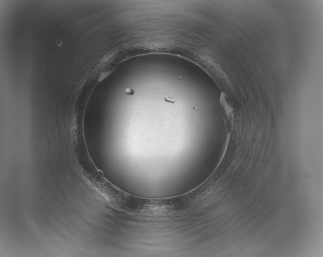 X0000073470260200608111543