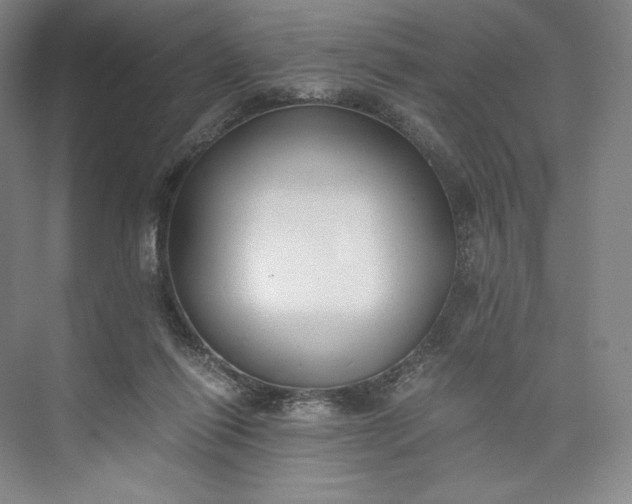 X0000073470262200608111543