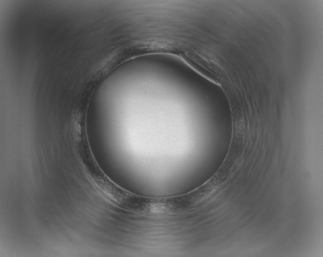 X0000073470264200608111544