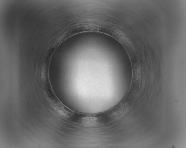 X0000073470266200608111544